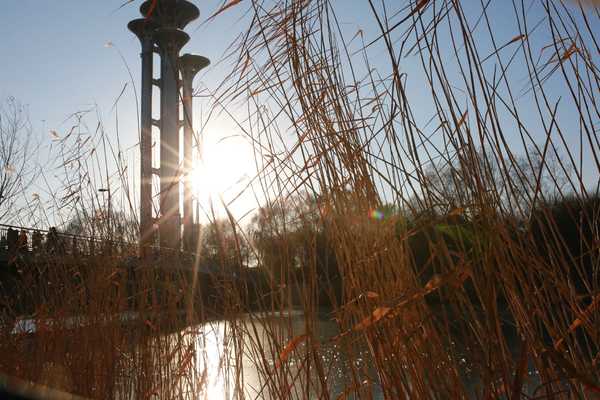 描述天气阳光美丽的句子2