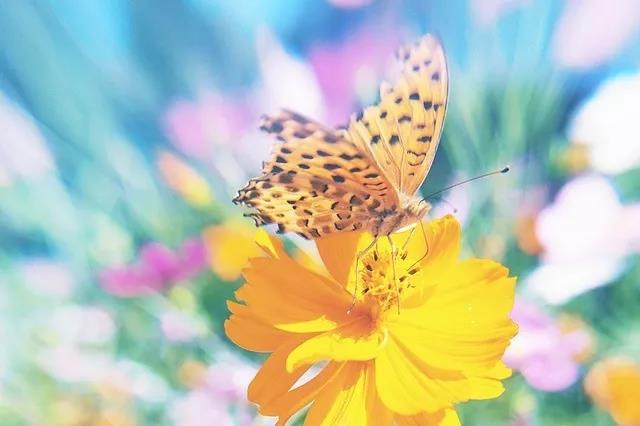 早上起床，爱情2