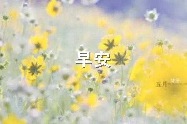 早上好,最美丽的问候