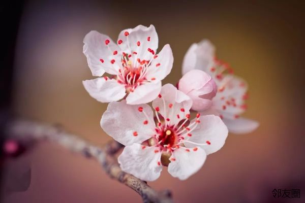 描述春天2的句子