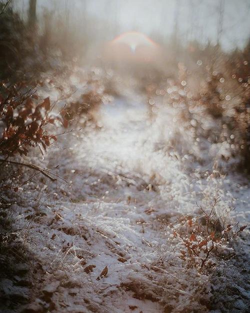 心脏标志的愤怒2021