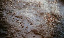 一句走心签名2021