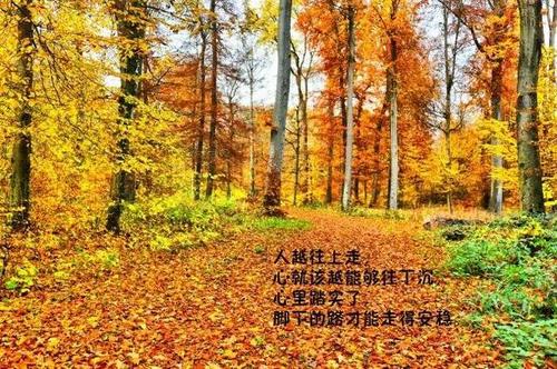 朋友圈会谈一天的短语