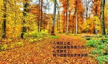 朋友圈每天的说说心情短语