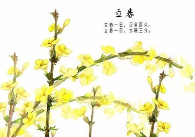 拍摄的春天来了1