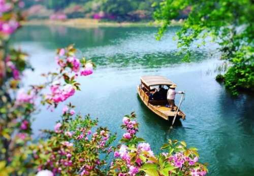 被送讯春天开花的CE说1