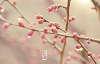 描述美丽的句子