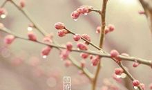 描写立春景象的唯美句子