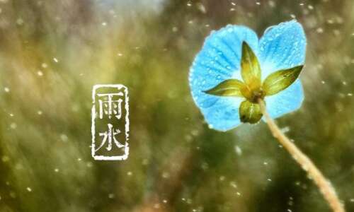 多雨的审美判决