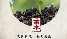 雨水节气图片带字唯美