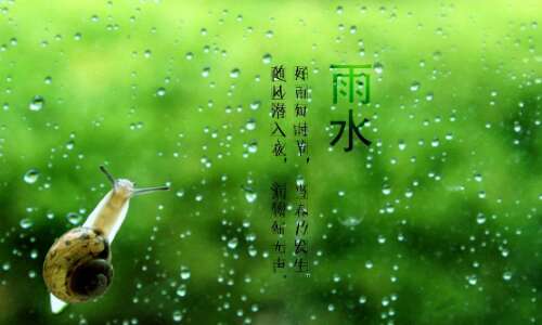 雨天和太阳能条款