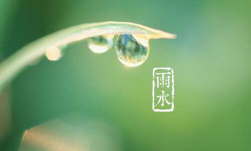 雨水，情绪谈判句子1