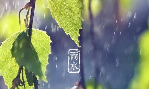 雨水和太阳能情绪告诉句子2