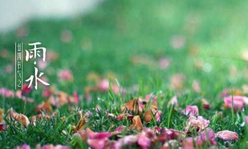 雨水朋友一个美丽的句子2