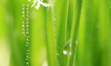 谷雨节气的说说