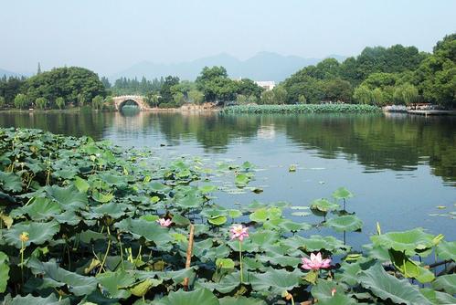 赞美四季的经文