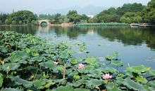 赞美四季美景的诗句