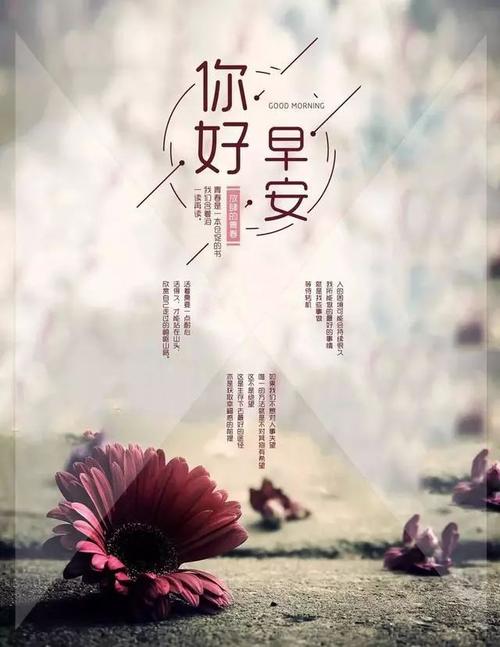 周末发表朋友圈的经典句子