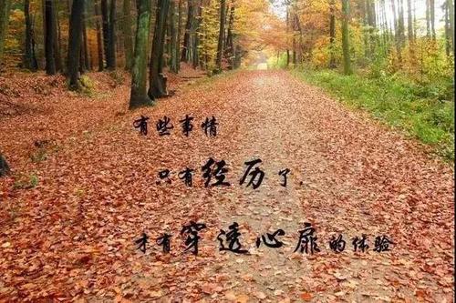 生活情绪短暂的句子