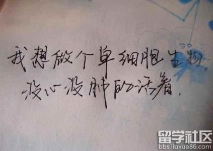 人格短语四到五个字