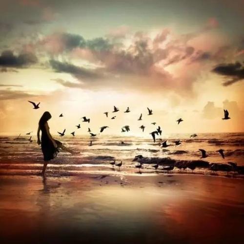 谈论生活，情感