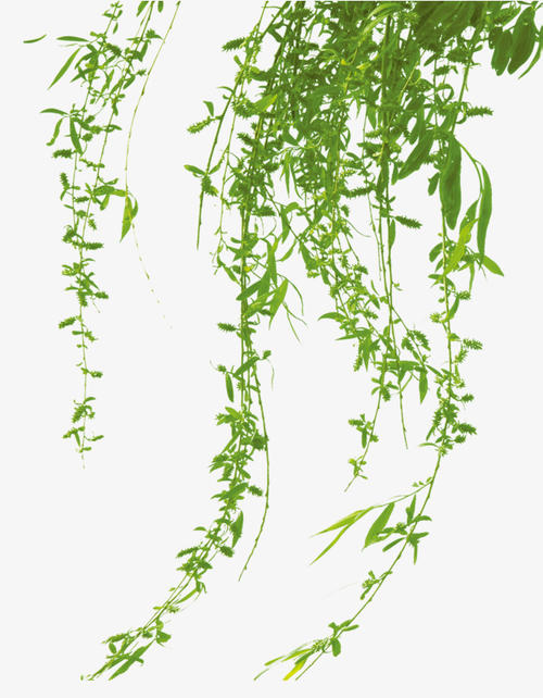 春天就像一个模仿句子