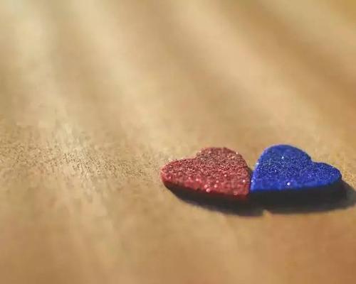 专注于一节经文