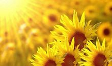 美好的一天从周一开始说说