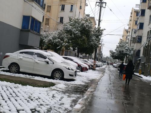 新年的第一个雪祝福