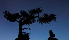 写给两岁的你朋友圈说说