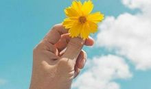 发朋友圈很干净的句子