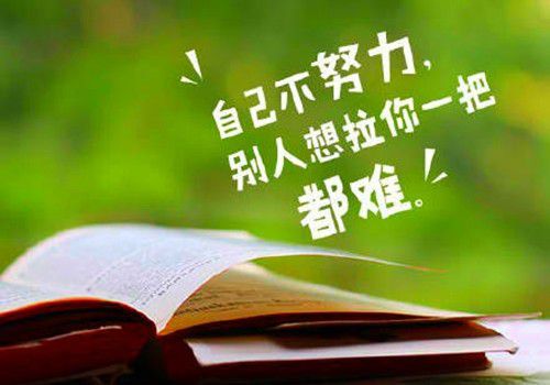 早上起床，朋友圈