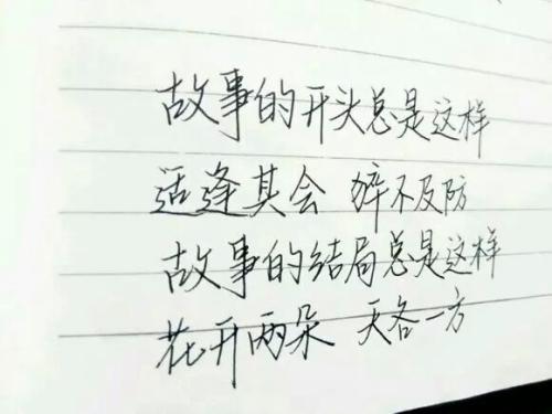 诗歌，全年生活哲学