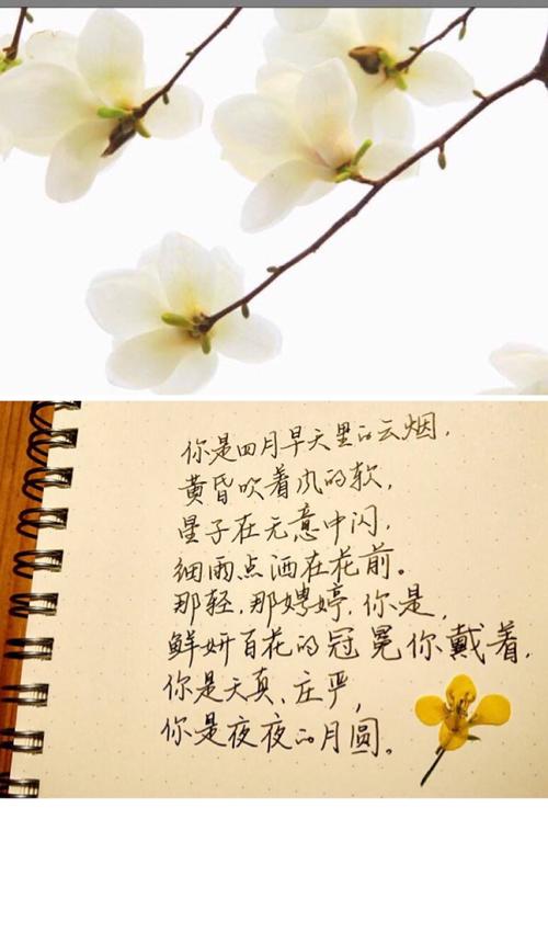 你是4月的下一句。