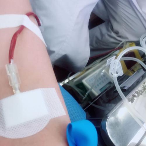 他自己献血的美学句子