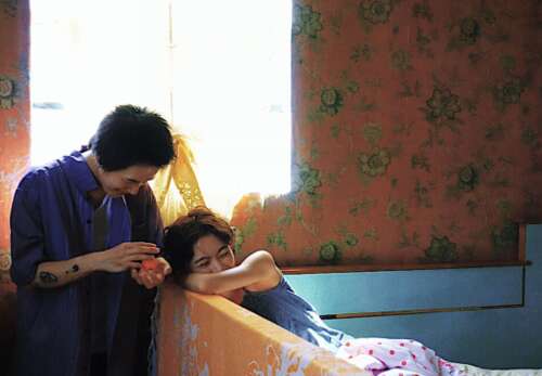 关于婚姻的20感冒1