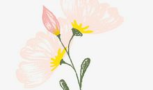 给自己鼓励的一句话