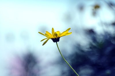 积极能量微信签名