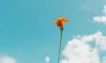 妹妹结婚发朋友圈说说2021