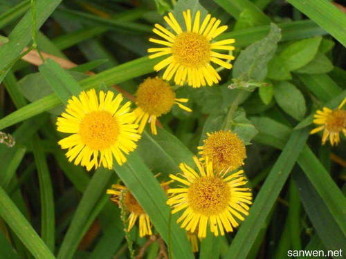 描述享受生活的句子