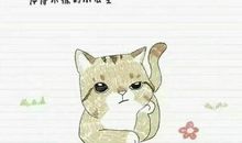 暖心十字以内短句情话