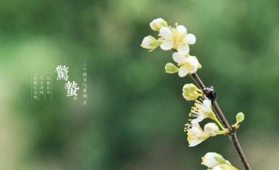 诗歌大约8个恐怖节气门