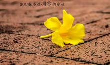 不开心朋友圈发什么说说