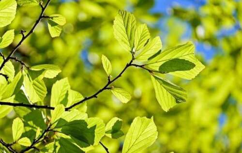 用春天描述春句，美丽的句子2