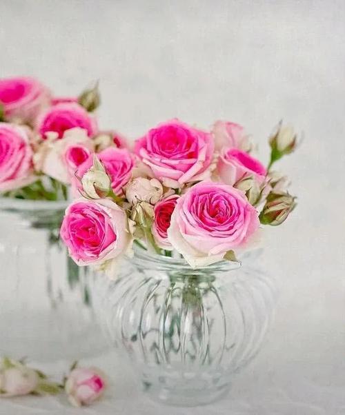 2021 Shake婚礼是最热门的判决