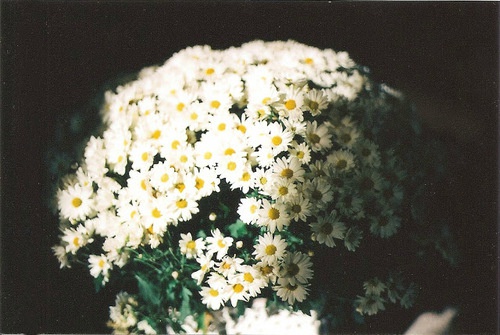 问候情人早安短信