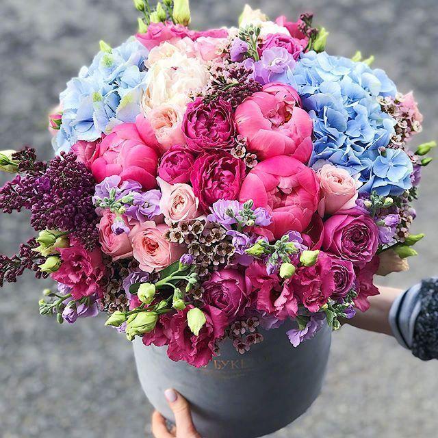 祝我母亲是一个健康的判刑感恩