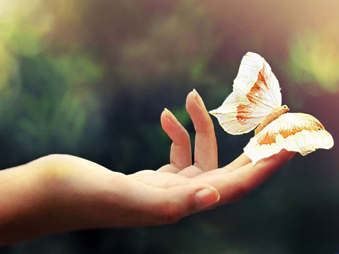 来自恋人的问候早安短信1