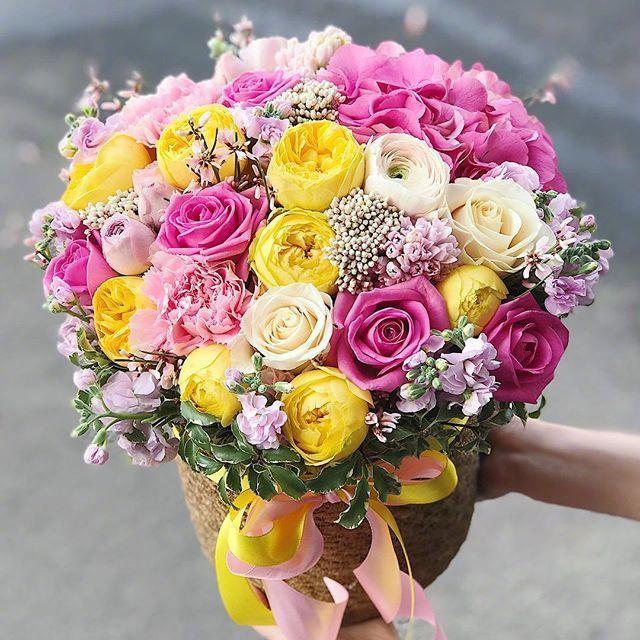 我希望我的母亲健康判刑感恩节1