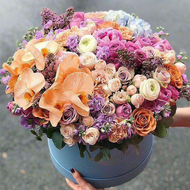 我希望我的母亲健康判刑感恩节2